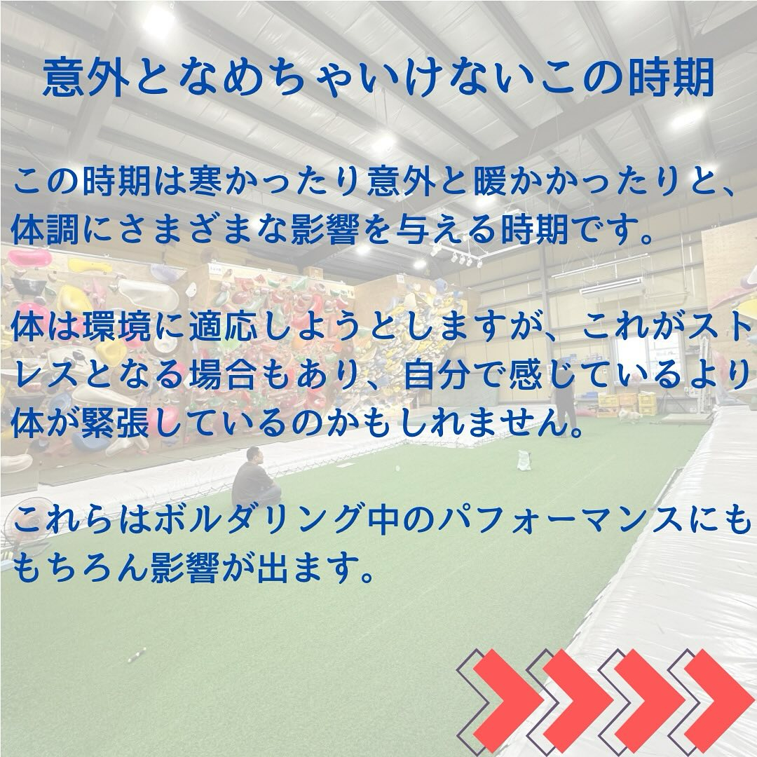 季節替わり目は気楽にいこうぜ🙋‍♂️