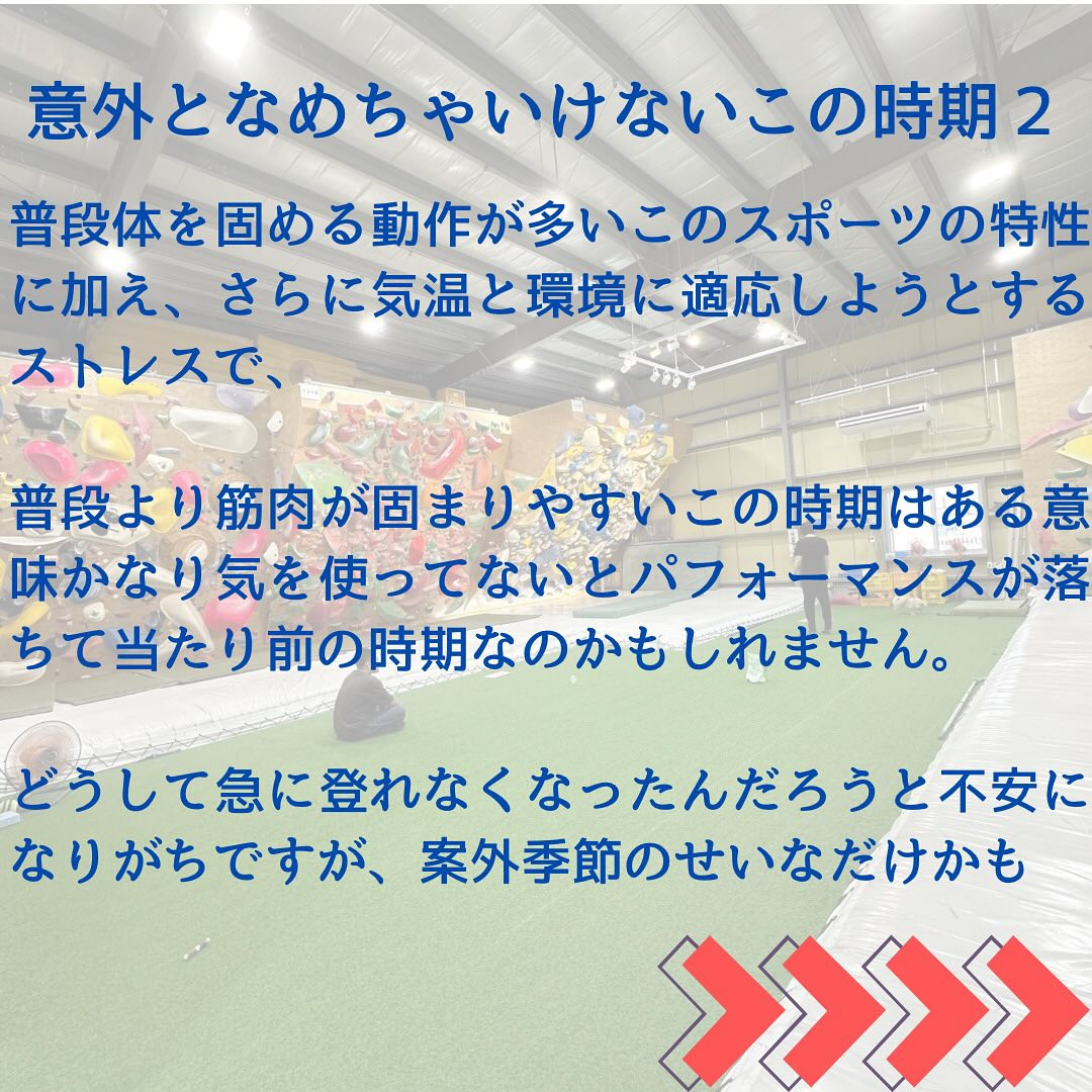 季節替わり目は気楽にいこうぜ🙋‍♂️