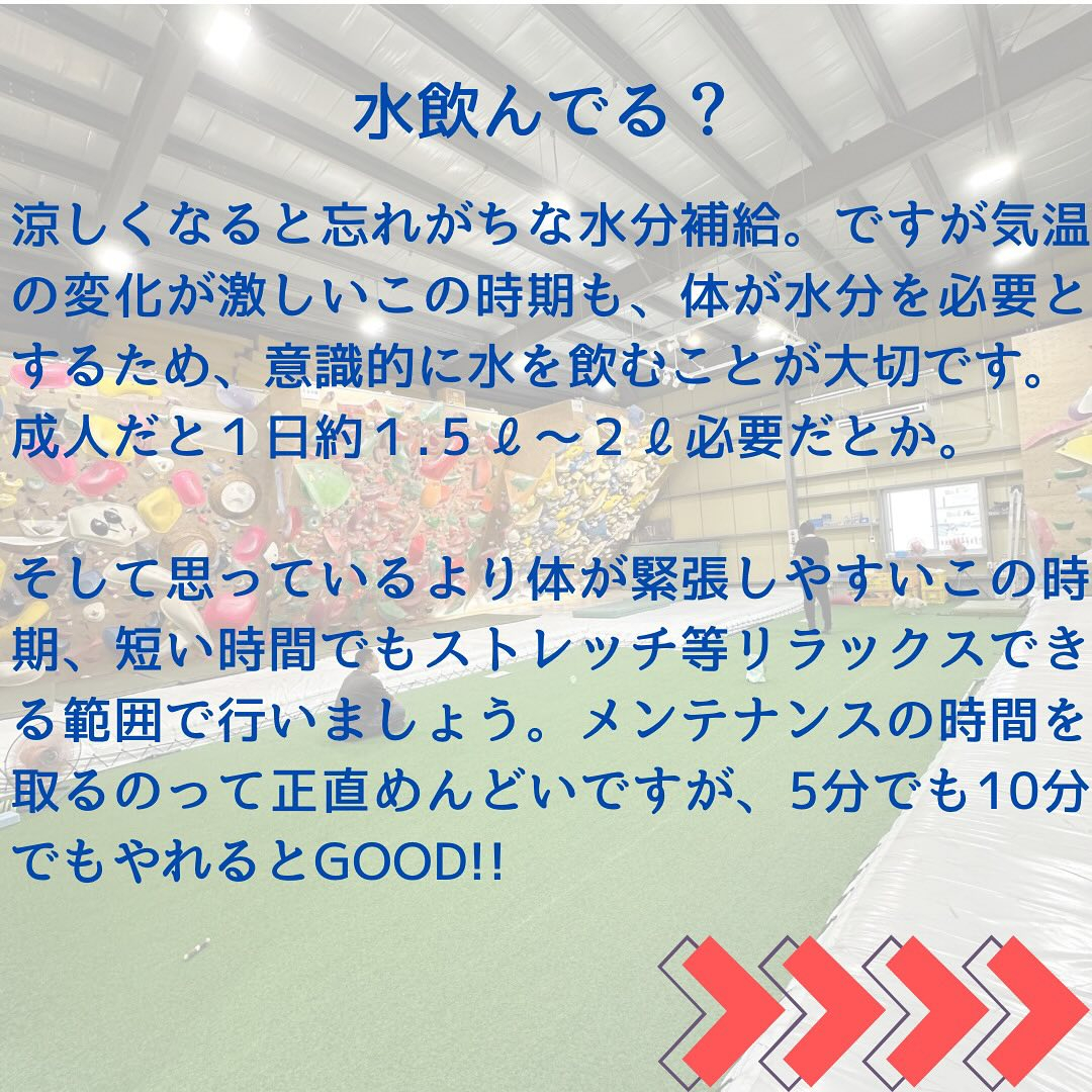 季節替わり目は気楽にいこうぜ🙋‍♂️