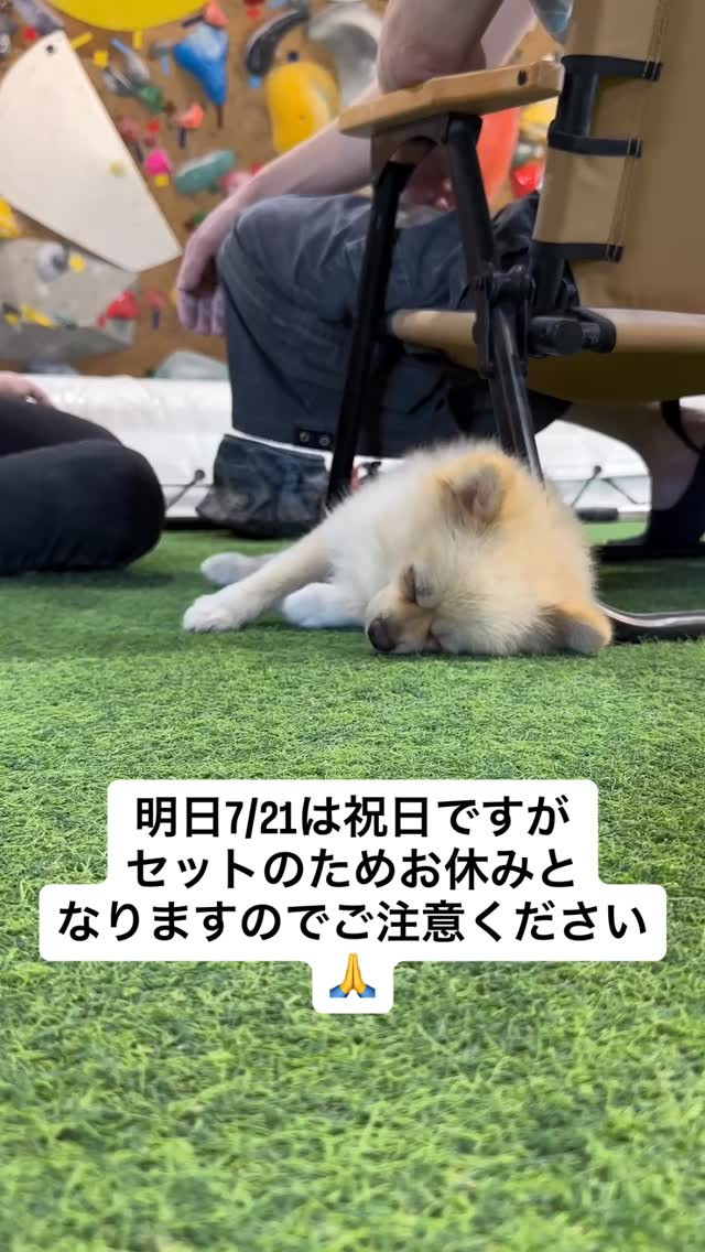 明日7／21は祝日ですがセットのためお休みとなりますのでご注...